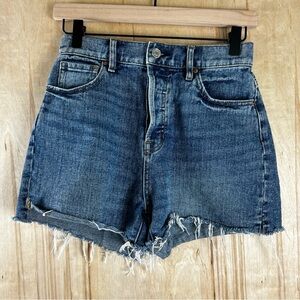 Pacsun Hi Rise Icon Denim Short